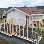 Navrastikksmyro: Bilde 2 av 12