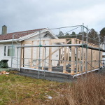 Navrastikksmyro: Bilde 3 av 12