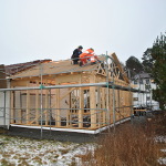 Navrastikksmyro: Bilde 4 av 12