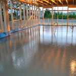 Navrastikksmyro: Bilde 5 av 12