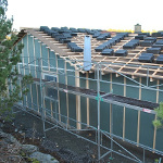 Navrastikksmyro: Bilde 6 av 12