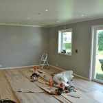 Navrastikksmyro: Bilde 8 av 12