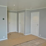 Navrastikksmyro: Bilde 9 av 12